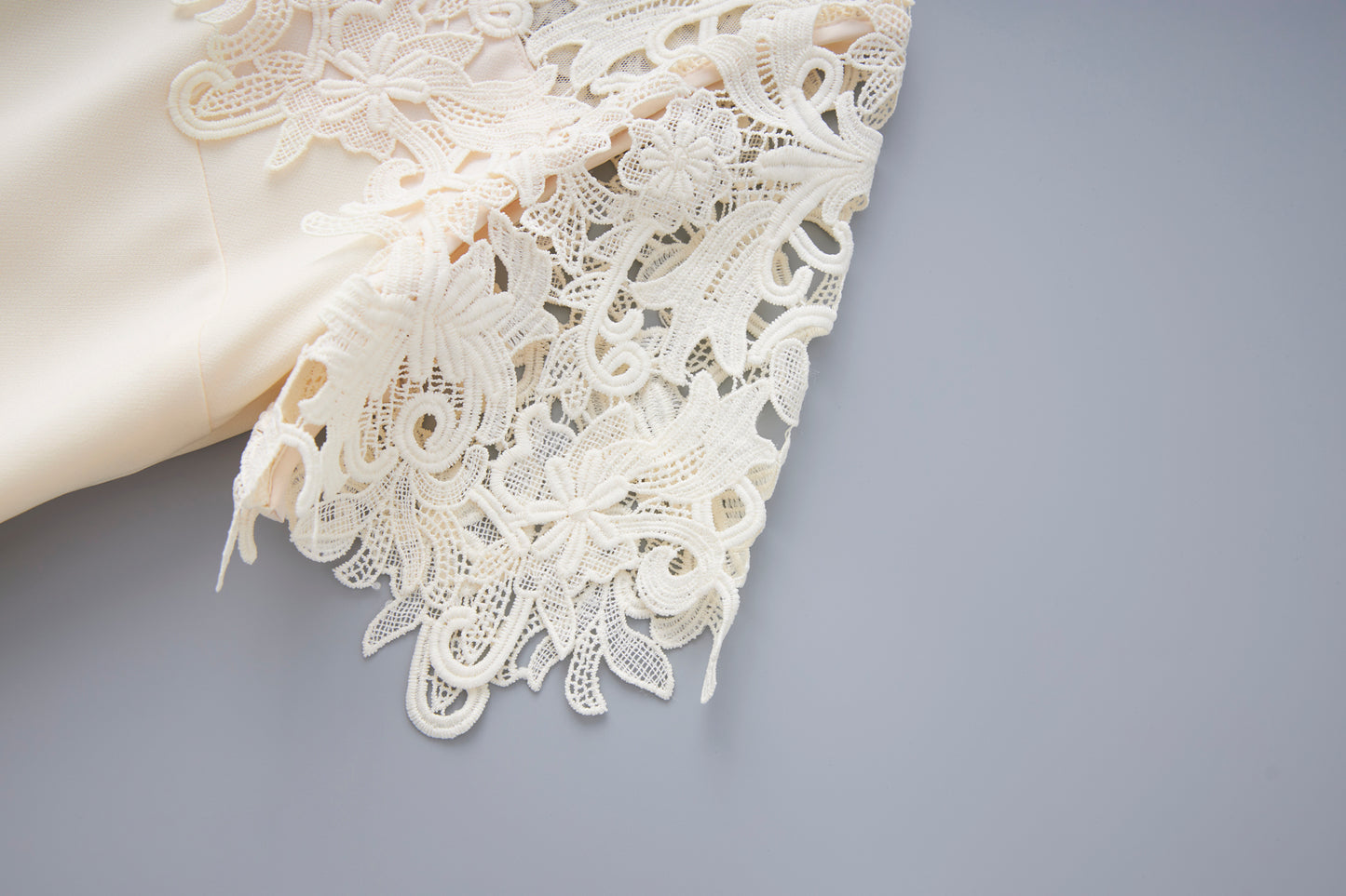 25ss Lace embroidered dress