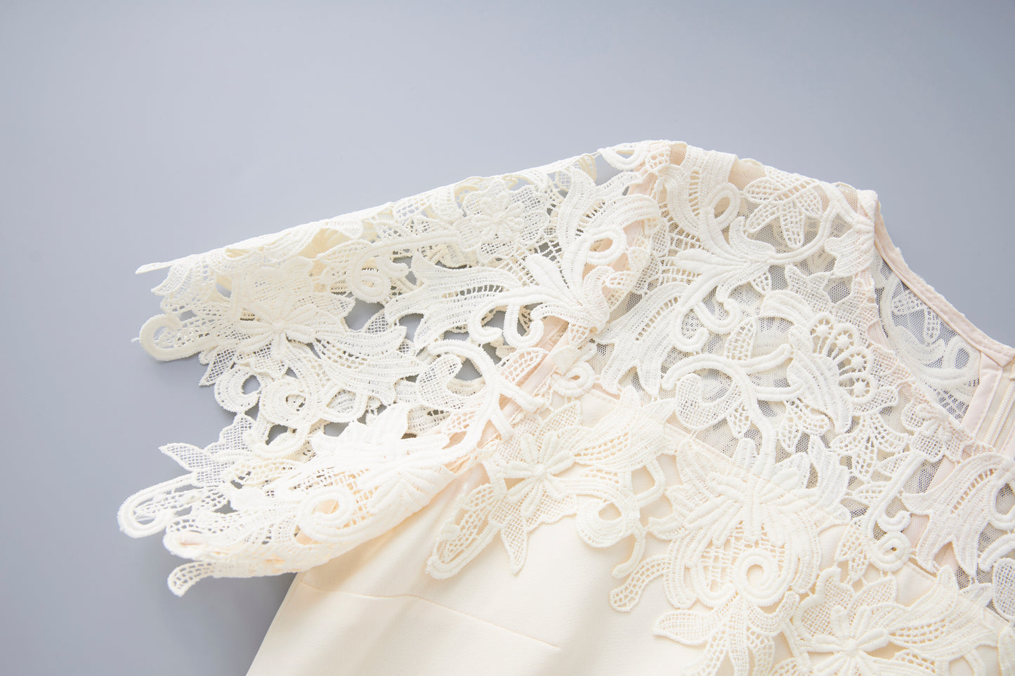 25ss Lace embroidered dress